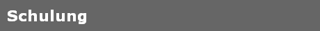 Schulung